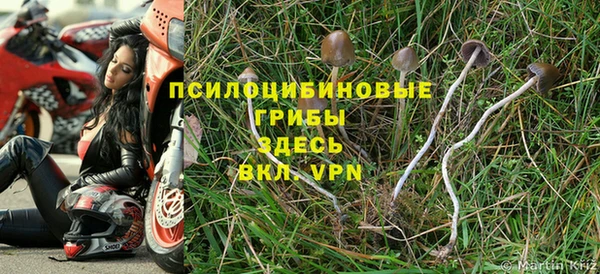 дурь Алексин