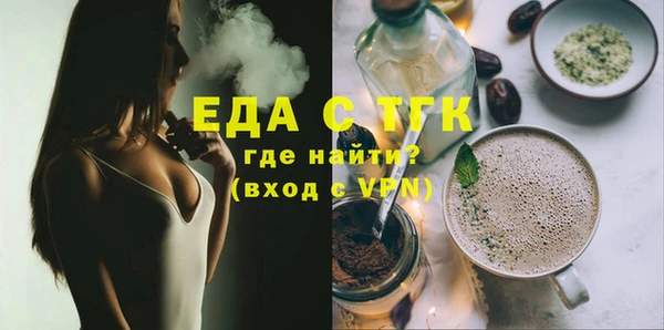 гидра Ельня