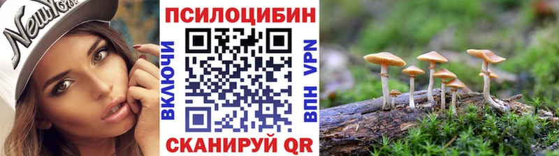 Псилоцибиновые грибы Psilocybine cubensis  как найти закладки  Тбилисская 